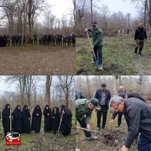 کاشت نهال در پارک جنگلی شهرستان نور