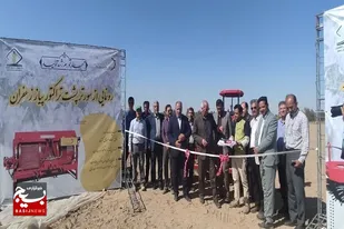 پایین&zwnj;بودن ضریب نفوذ مکانیزاسیون، چالش اصلی زعفران در خراسان رضوی