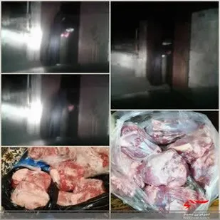 تقدیم گوشت گرم بین نیازمندان در خانمیرزا