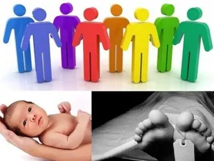 کاهش 4.4 درصدی میزان ولادت نسبت به سال گذشته