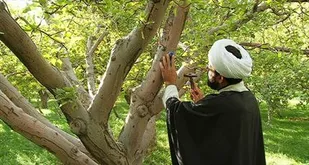 جمع آوری بیش از پنج میلیارد تومان زکات مستحبی در شهرستان پاکدشت