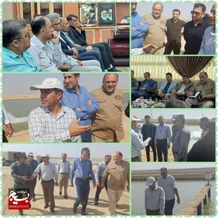 تولید تاثیرگذار میگو هندیجان در رشد اشتغال زایی