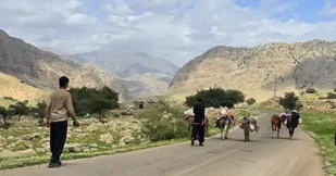 خوزستان آماده میزبانی از عشایر ۷ استان کشور در فصل قشلاق