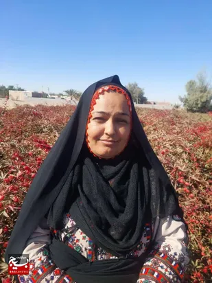 چای ترش، جرقّه&zwnj;ای که روستای گزسردی را متحول کرد