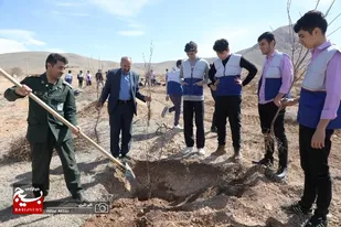 کاشت بیش از300 هزار نهال در بام ایران با همت جهادگران