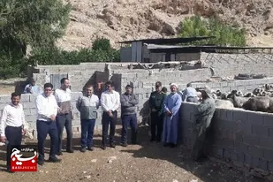 برگزاری رزمایش فجر خودکفایی در قالب فجرآفرینان عرصه کشاورزی و دامپروری در کازرون