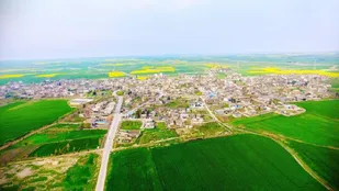 روستایی که به طلای سفید شهرت دارد