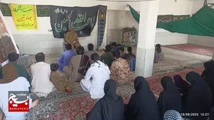 برگزاری نشست جهاد تبیین در دلگان