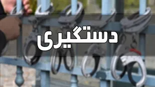 دستگیری اعضای باند سارقان منزل در مراغه