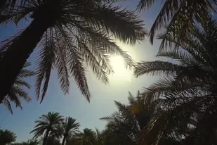 نماهنگ &laquo;همدرد خوزستان&raquo;