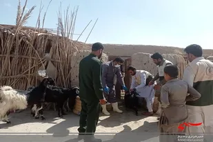 جهادگران بسیجی میدان داران اصلی خدمت به مردم هستند