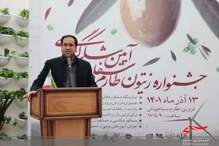 ایجاد بازار و فرآورده های زیتون در دستور کار سازمان جهادکشاورزی قزوین&nbsp;