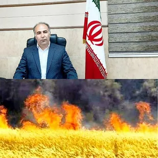 سهمیه کود،سم و سوخت کشاورزانی که ساقه های گندم را آتش بزنند قطع می شود