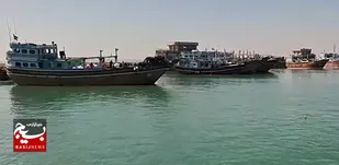سیستان و بلوچستان تامین کننده ماهی صنعتی کشور