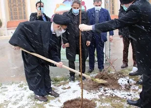 کاشت نهال در محوطه مصلی امام خمینی (ره) توسط امام جمعه تبریز