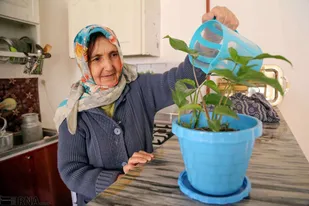 یک جامعه شناس: باید به فکر ایجاد &laquo;وزارتخانه تنهایی&raquo; در آینده باشیم