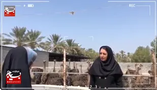 ببینید|بازدید از طرح های اشتغال زایی اقتصاد مقاومت شهرستان منوجان کرمان
