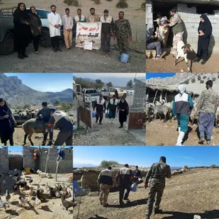 برگزاری اردوی جهادی کانون بسیج جامعه کشاورزی در باشت/ ۴۵۰۰ راس دام و سه هزار قطعه طیور واکسینه شدند