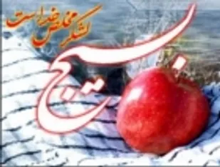برگزاری تمرین پاسگاه فرماندهی کارکنان گروه پدافندهوایی ده محرم شاهرود