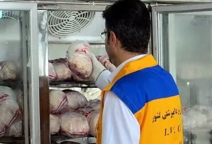 افزایش تولید گوشت مرغ در خوزستان با نظارت دامپزشکی