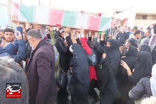 بدرقه ای گرم از لاله های بی نشان در شهرستان لنجان