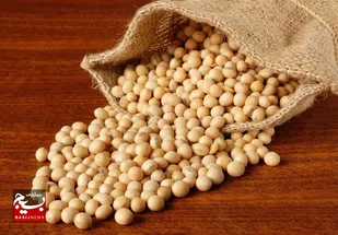 اردبیل رکورددار تولید &zwnj;سویا شد&zwnj;
