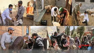 مشارکت دامپزشکی شیروان در اردوی جهادی مناطق عشایری