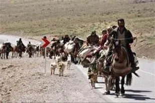 آغاز کوچ بهاره عشایر بروجرد