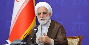 قرار بازداشت موقت تا حد امکان صادر نشود/ واکنش به ممنوع الخروجی