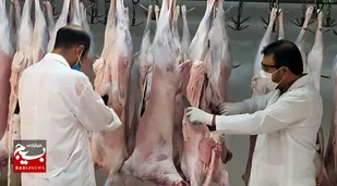 آماده&zwnj;باش ۹۸ گروه نظارتی دامپزشکی خوزستان در تاسوعا و عاشورا