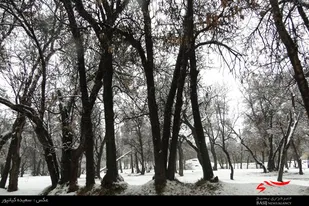 بارش اولین برف زمستانی در همدان