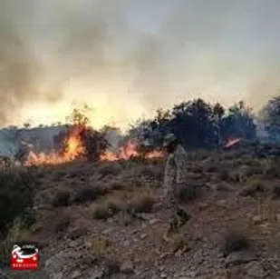 آتش سوزی جنگل شهید آباد بهشهر با تلاش سپاه و بسیج مهار شد