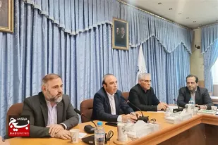 تولید گندم در اردبیل از مرز 550 هزار تن گذشت
