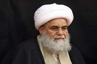 قدردانی آیت&zwnj;الله کریمی جهرمی از رئیس مجلس