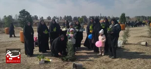اجرای پویش &laquo;درخت، سایه زندگی&raquo; با حضور مدیران شهری در مشهد