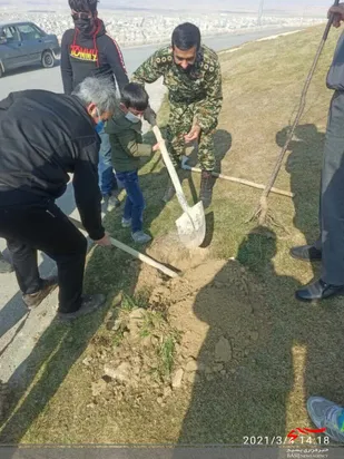 کاشت درخت بمناسبت هفته درختکاری در شیروان