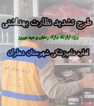 ۳۵۰ کیلوگرم فرآورده دامی غیرقابل مصرف در شهرستان دهلران معدوم شد