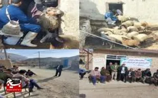آموزش و واکسیناسیون دام سبک عشایر استان خراسان رضوی