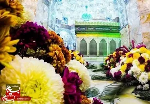 حرم حضرت معصومه(س) با ۵۰ هزار شاخه گل طبیعی گل&zwnj;آرایی می&zwnj;شود