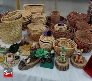 احیای حصیربافی "بی&zwnj;بی منور" به همت بانوی کارآفرین کاشمری+تصاویر