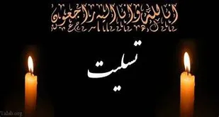 پیام تسلیت سردار شهسواری درپی شهادت رزمنده سرافراز سلطانی
