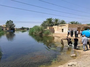 آغاز رهاسازی بچه&zwnj;ماهیان بومی در منابع آبی خوزستان
