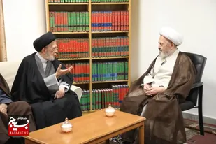 حشدالشعبی توانایی مواجهه با تعدی&zwnj;های خارجی و تهدیدات داخلی عراق را دارد