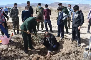 ۱۵۶ نهال به یاد شهدای شهرستان بهاباد کاشته شد