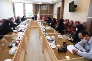 تشکیل پرونده سلامت روانی زوج&zwnj;ها پیش از ازدواج ضروری است