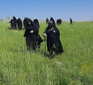 کوهنوردی کارکنان خواهر شاغل درسپاه فتح + ( فیلم و تصاویر)
