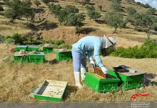 پرداخت تسهیلات ۸۰ میلیاردی بنیاد برکت به ۶ روستا در خلیل آباد