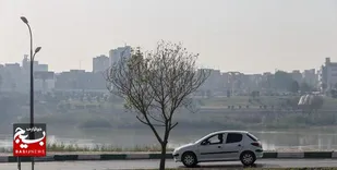 شوش گرمترین شهر خوزستان/ روند کاهشی دما از امروز در استان