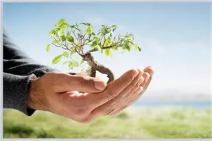 پرداخت بیش از ۲۲ میلیارد تومان زکات&zwnj; در استان مرکزی