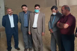بازدید فرماندار شهرستان به اتفاق مدیر جهاد کشاورزی گناباد از ورود اولین محموله جو یارانه ای به این شهرستان